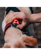 Olight Gober biztonsági éjszakai jelzőlámpa