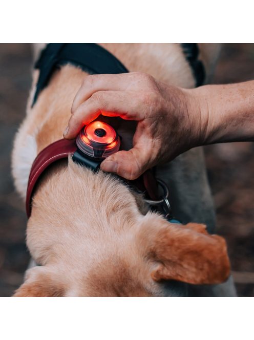 Olight Gober biztonsági éjszakai jelzőlámpa